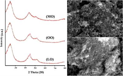 Facile Synthesis of Catalyst Free Carbon Nanoparticles From the Soot of Natural Oils